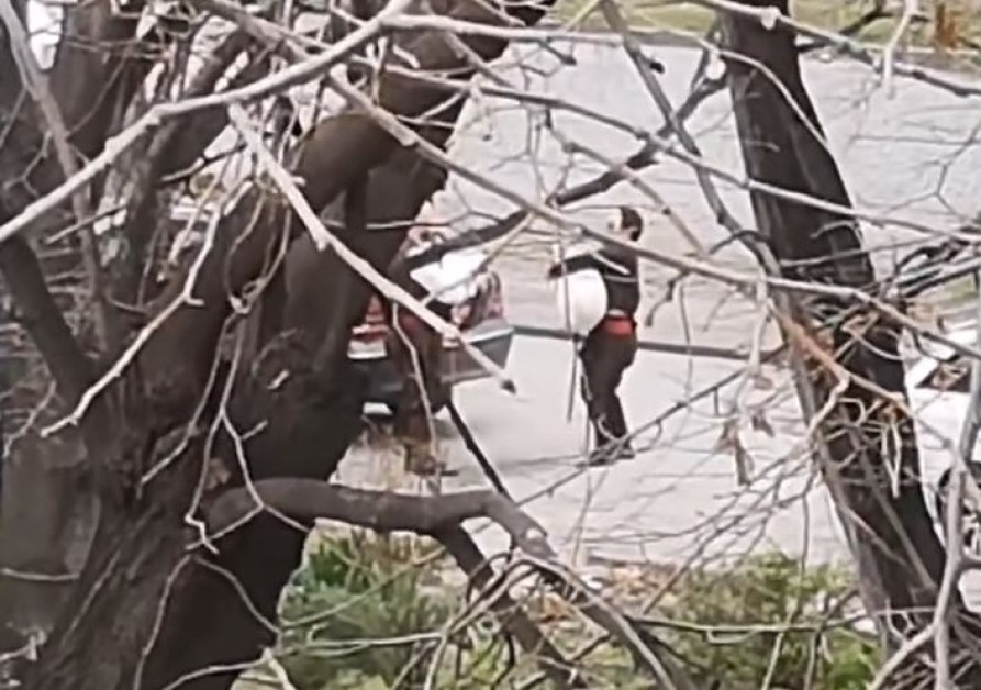 Всички говорят и се дивят на тези чудаци, ето какво направиха посред бял ден в Пловдив ВИДЕО