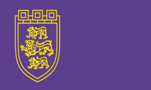 Урок по история: Това е най-старият тържествен символ на Велико Търново ВИДЕО