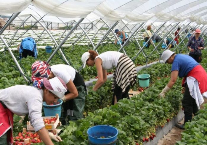 Гурбетчиите в Германия изпищяха на умряло, удариха ги сериозно