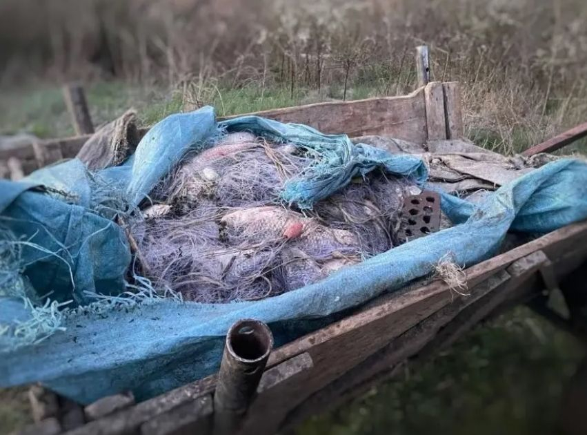 Тежък удар по незаконния риболов в Бургаско СНИМКИ