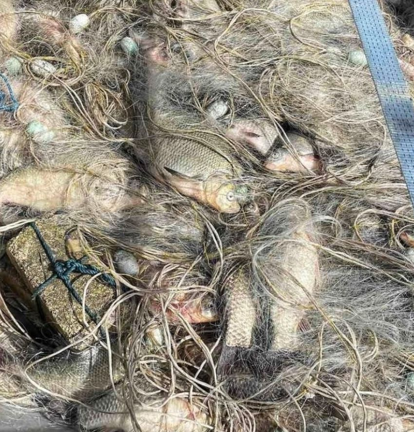 Тежък удар по незаконния риболов в Бургаско СНИМКИ