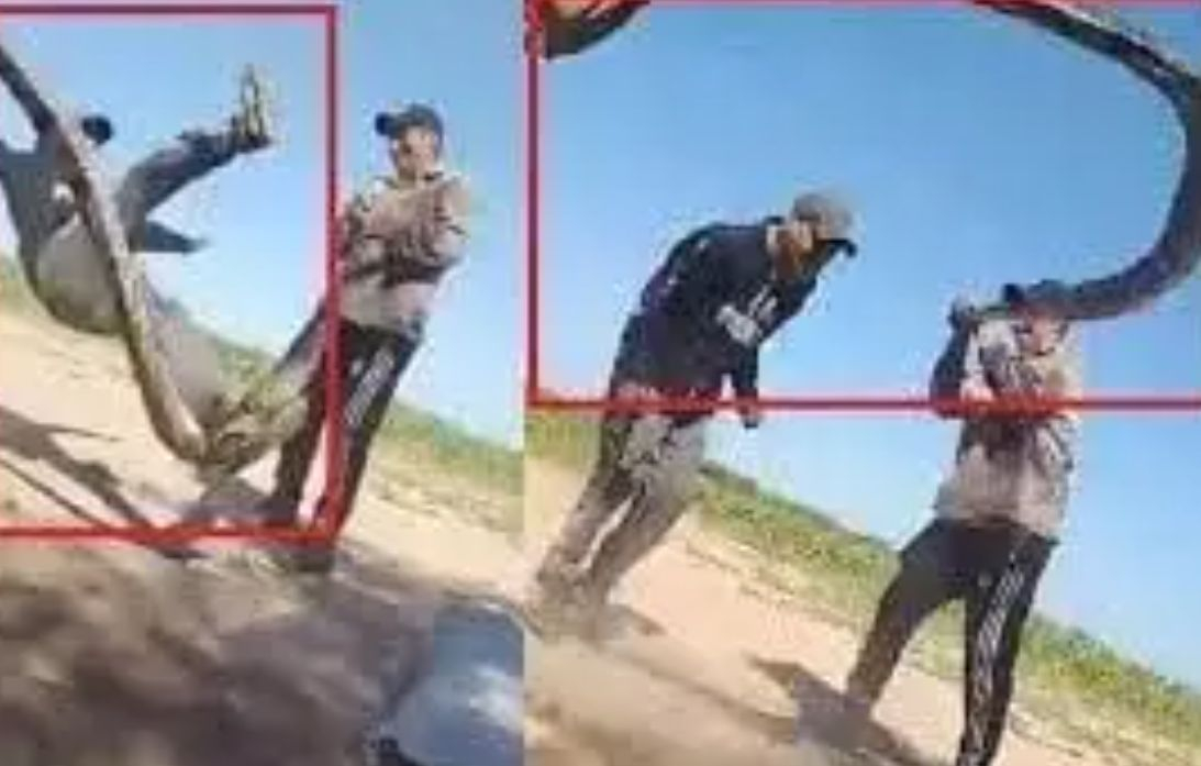 Шок! Мъже вместо с въже скачат с жива змия ВИДЕО