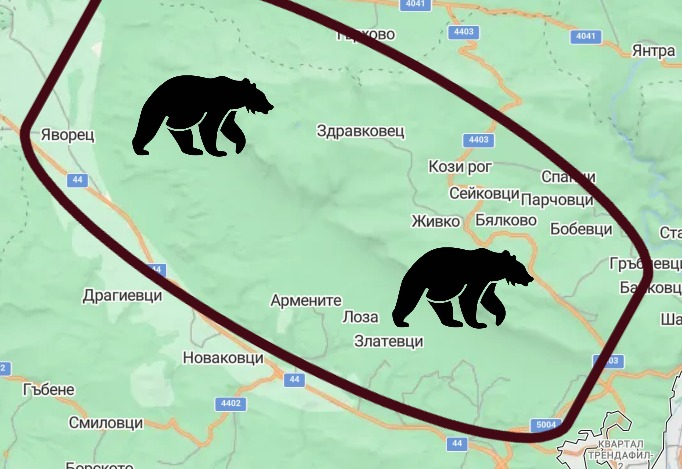 Габровец паркира колата си, а на сутринта върху предното стъкло видя тези следи СНИМКИ