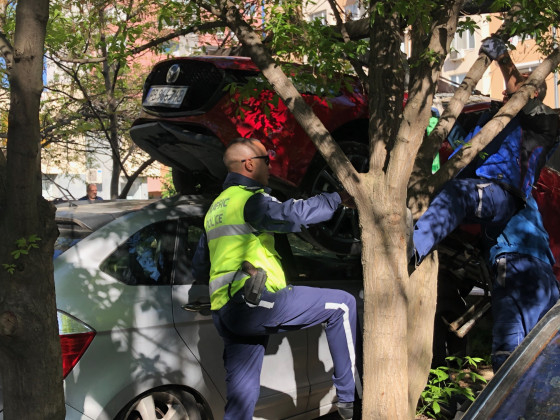 Обадиха се на Ванислав от полицията, той спешно се прибра у дома и не повярва на очите си ВИДЕО 