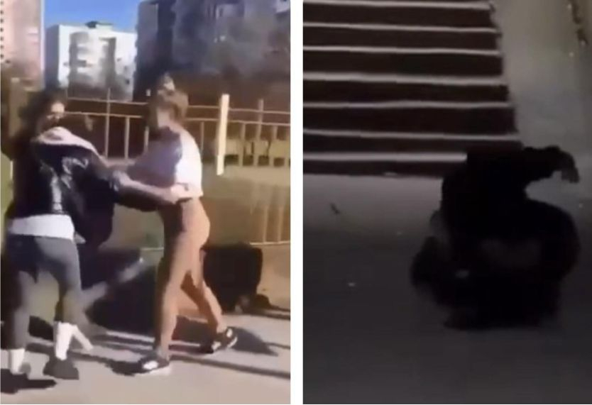 Не е за вярване какво седи в основата на побоя над ученичка в Пловдив