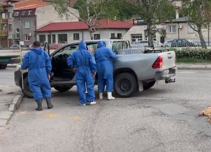 Трупове се изсипаха от камион в Хасково, миризмата е страшна ВИДЕО 18+
