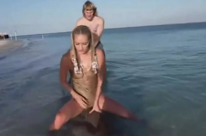 Блогърка седна върху акула, но след това... ВИДЕО