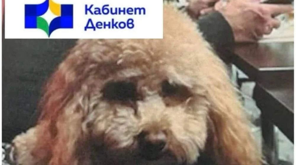 Пуделът си лае, керванът си върви