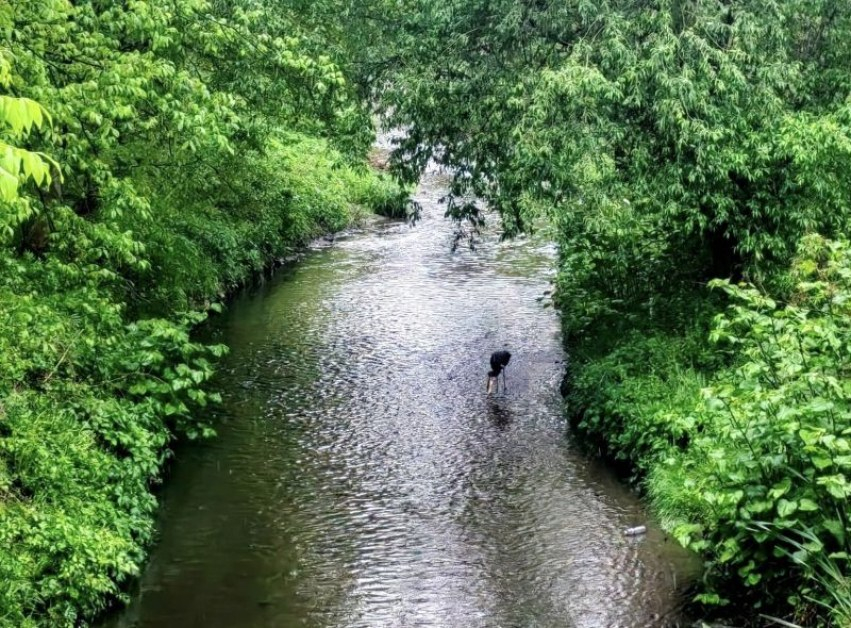 Мрачни поверия смразиха кръвта на хората в Обеля, ето кой пристигна 