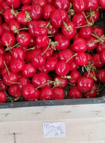 Пловдивчани гледат цената на първите череши и реват СНИМКА 