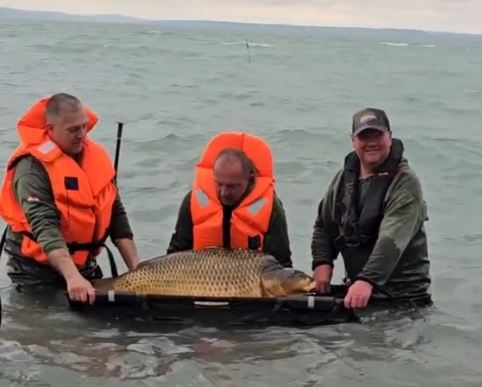 Румънски рибари уловиха чудовище, падна световен рекорд ВИДЕО