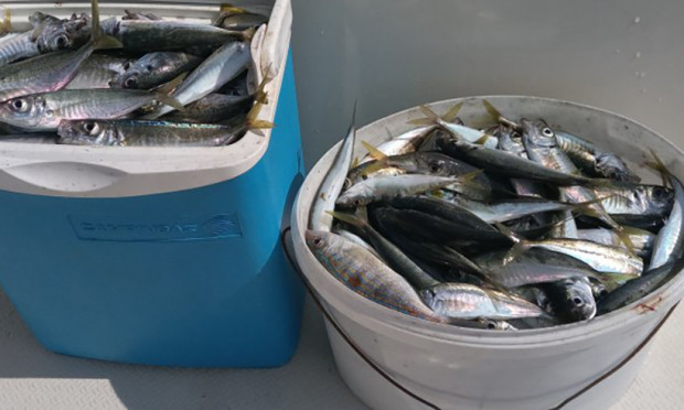 Месец по-рано: Морето ври, варненци не могат да си намерят място СНИМКА