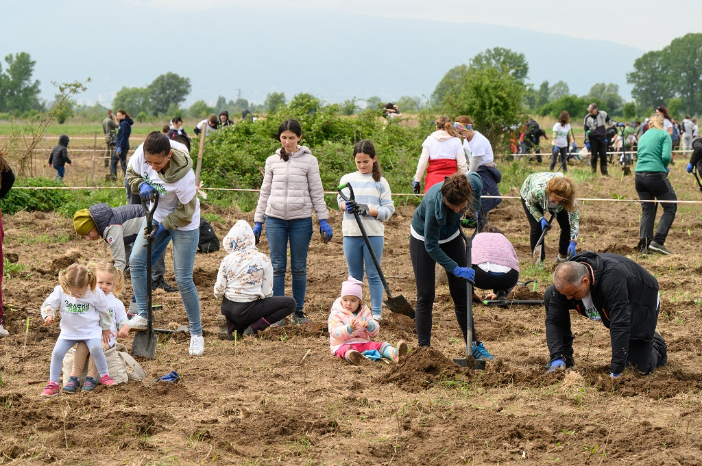 Доброволци от Пощенска банка засадиха 1300 нови фиданки в района на село Негован