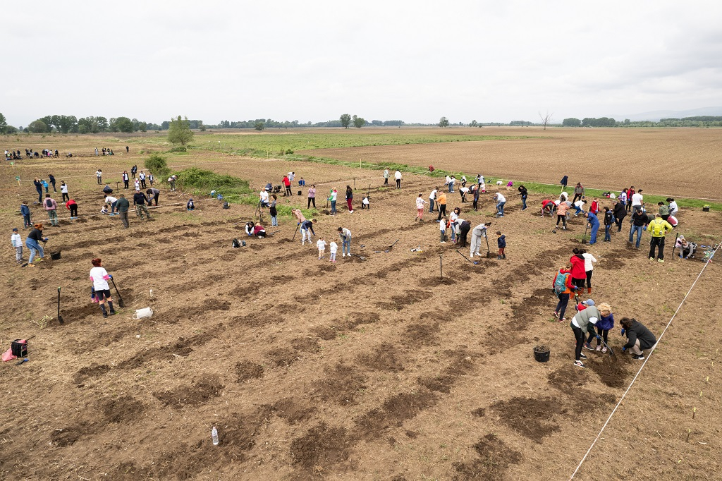 Доброволци от Пощенска банка засадиха 1300 нови фиданки в района на село Негован
