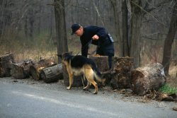 Турски бизнесмен заклан с ножица в гърлото край Долна баня