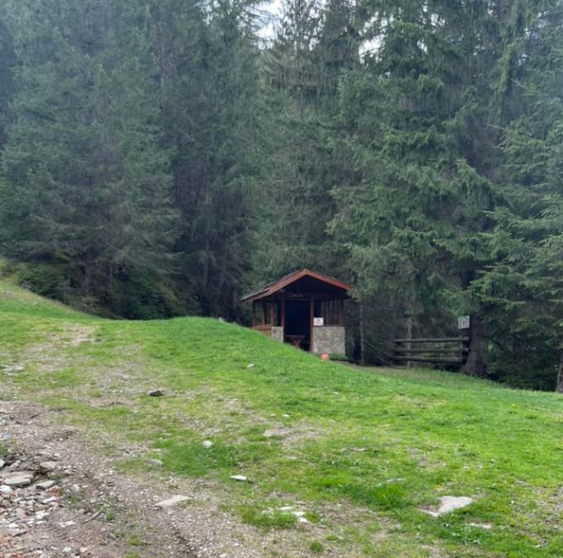 Нещо чудовищно се случва в тази местност в Родопите СНИМКИ