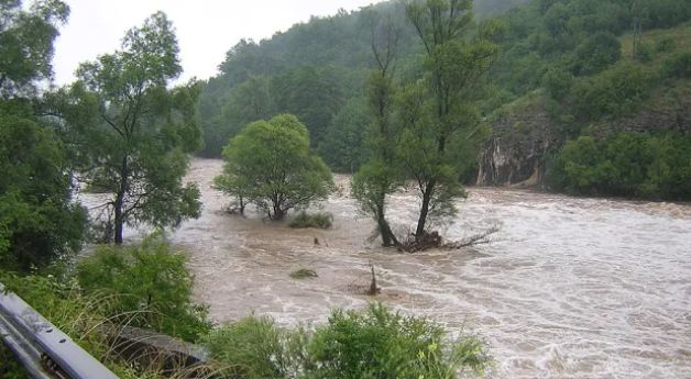 Ужас в Плевенско: Братя на косъм
