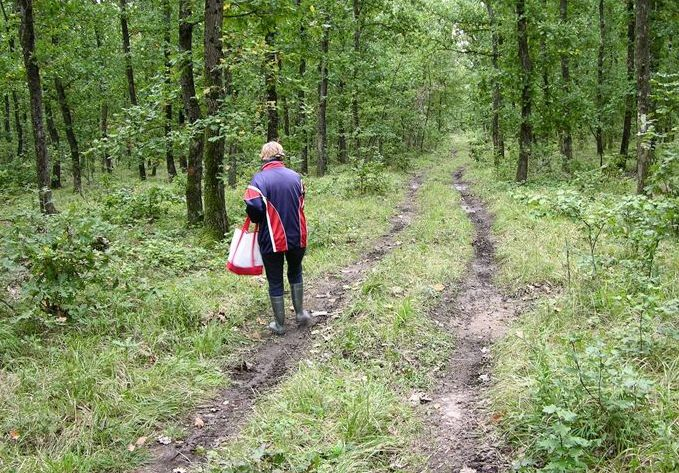 Селяни гледат и не вярват на очите си, такова чудо не се вижда всеки ден СНИМКА