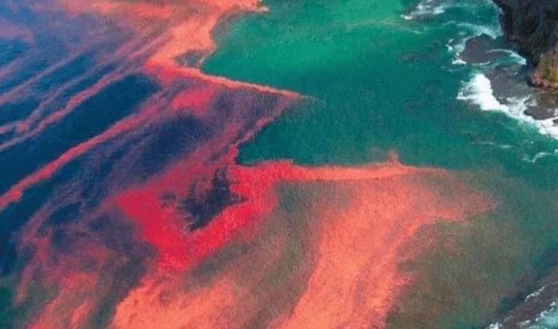 Червен кошмар в Мраморно море, наред е Черно море