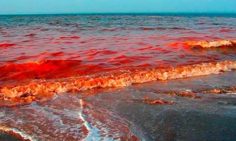 Червен кошмар в Мраморно море, наред е Черно море