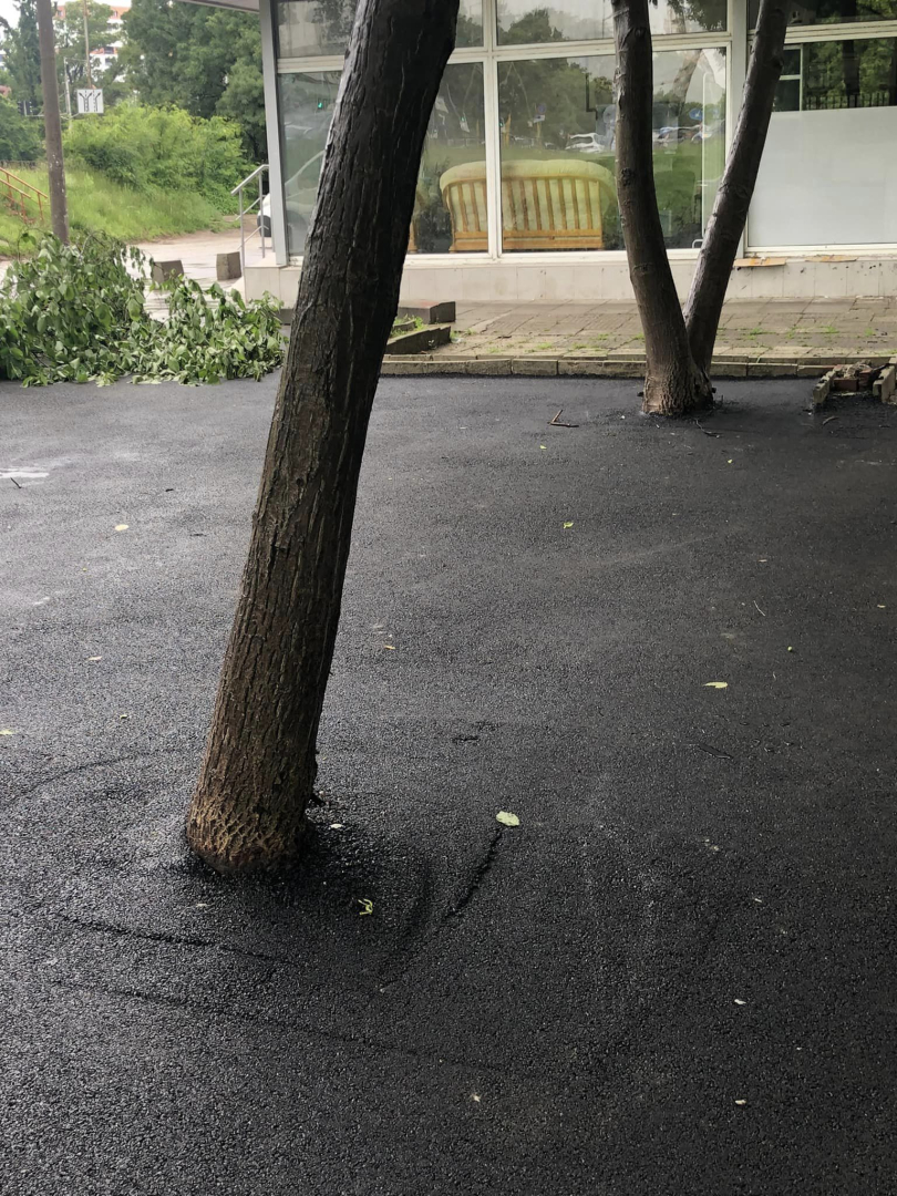 Нещо шокиращо се случи в столичния кв. “Мусагеница” СНИМКИ