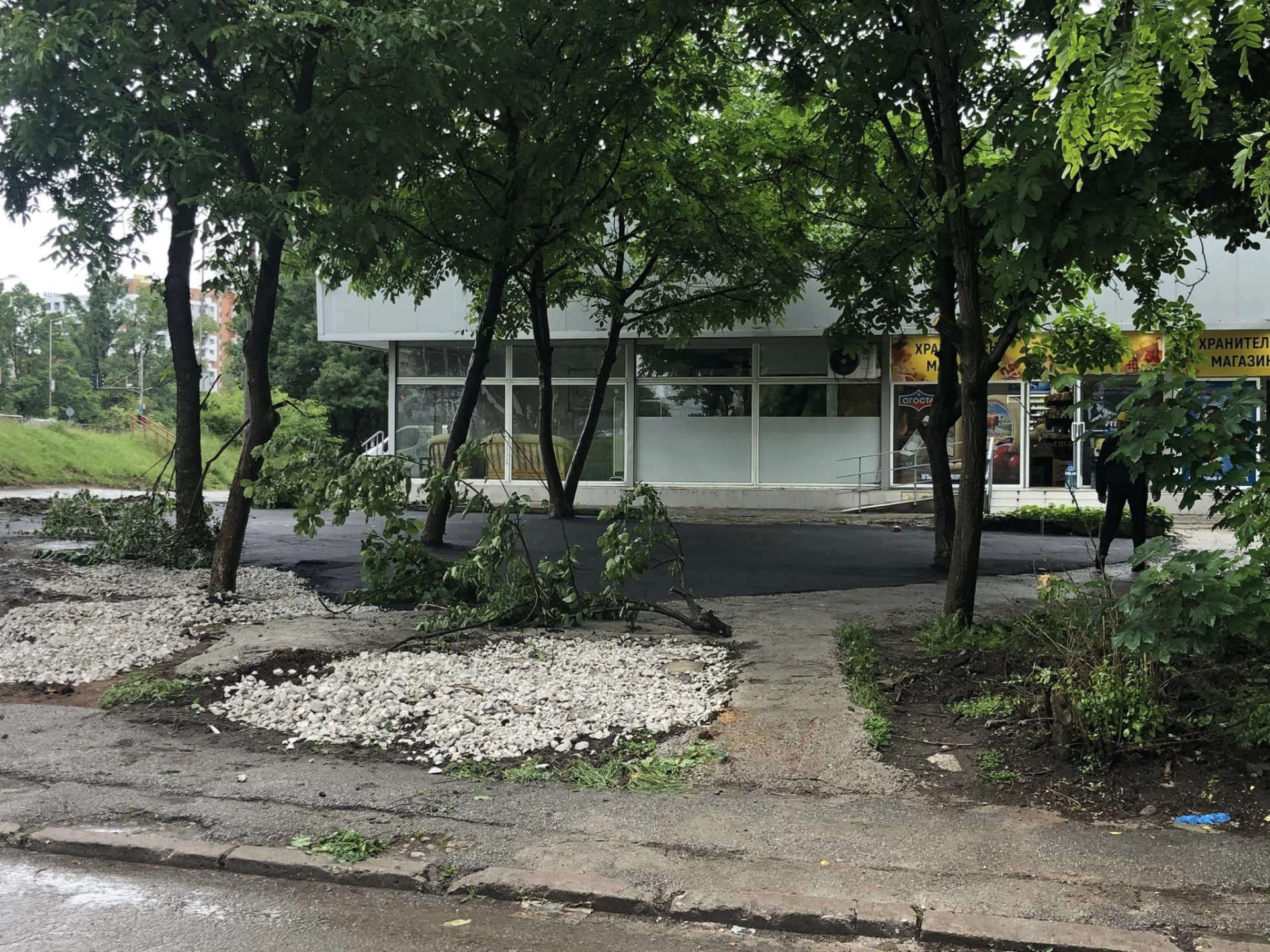 Нещо шокиращо се случи в столичния кв. “Мусагеница” СНИМКИ