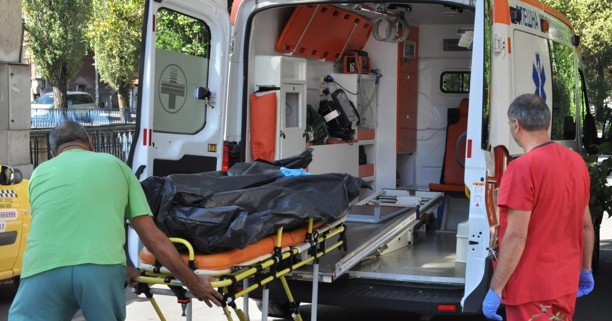 Само в БЛИЦ! Кошмар на ключов столичен булевард в час пик 