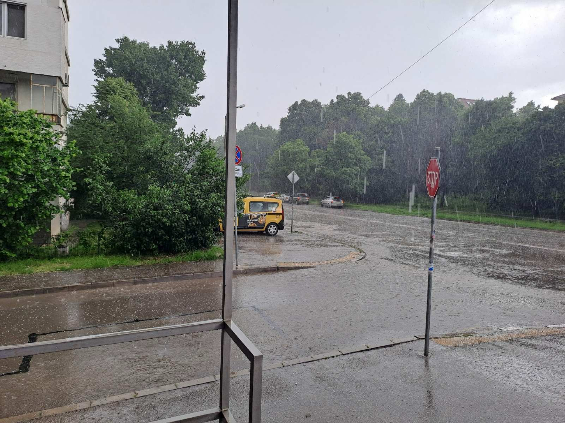 Потоп: Градушка като орех обрули столични квартали, под вода са... ВИДЕО