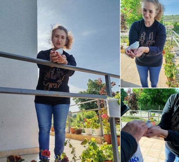 Уникално чудо на природата се появи в наше село, всички цъкат с език СНИМКИ  
