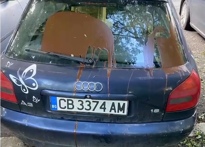 Вандали омазаха колата на столичанин, а камерите...ВИДЕО