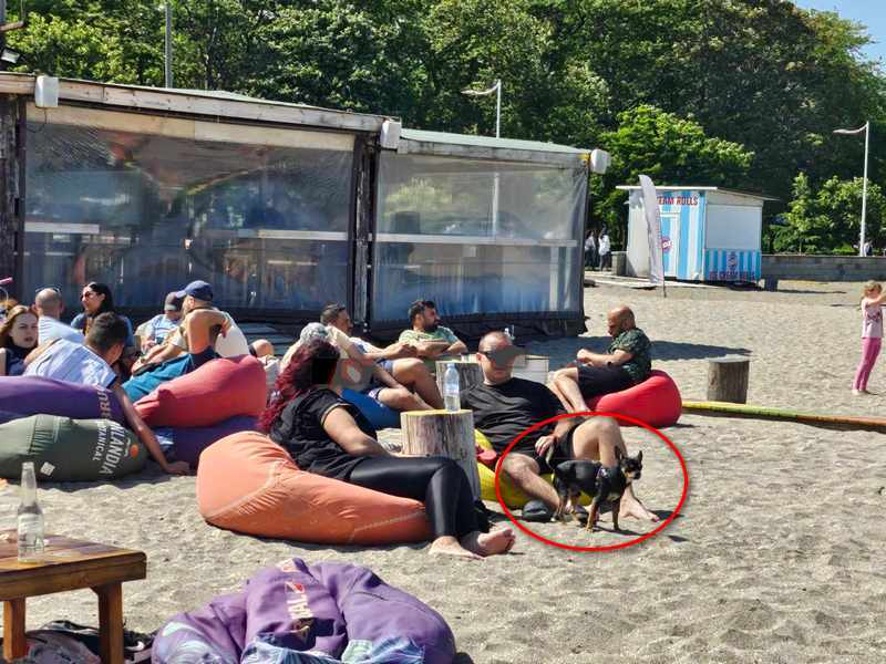 Всички туристи в шок: Каква е тази нелепа глоба от 500 лева на плажа в Бургас