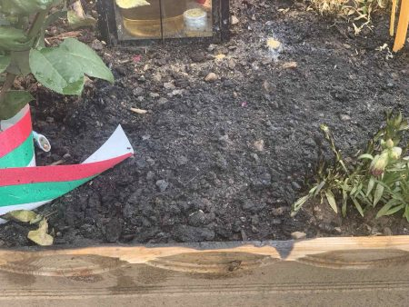 Гробът на дядо Иоаникий горя през първата литургия на митрополит Арсений