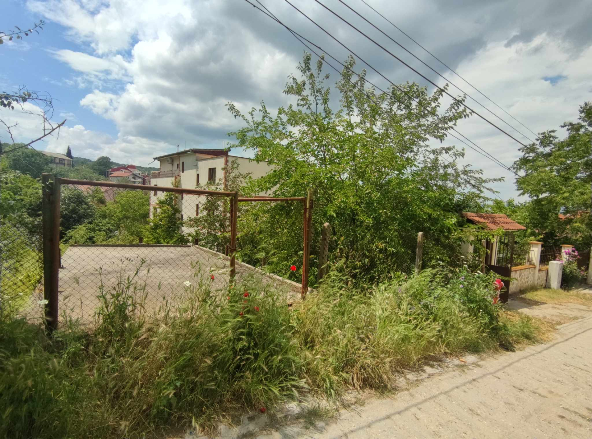 Извънредно в БЛИЦ! Питбул уби 38-годишната си стопанка във Варна СНИМКИ