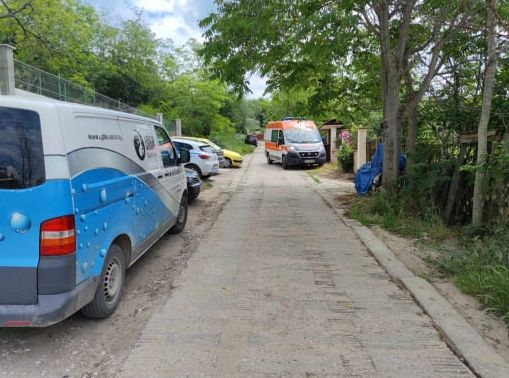 Извънредна вест след кървавия ужас с питбула убиец във Варна 