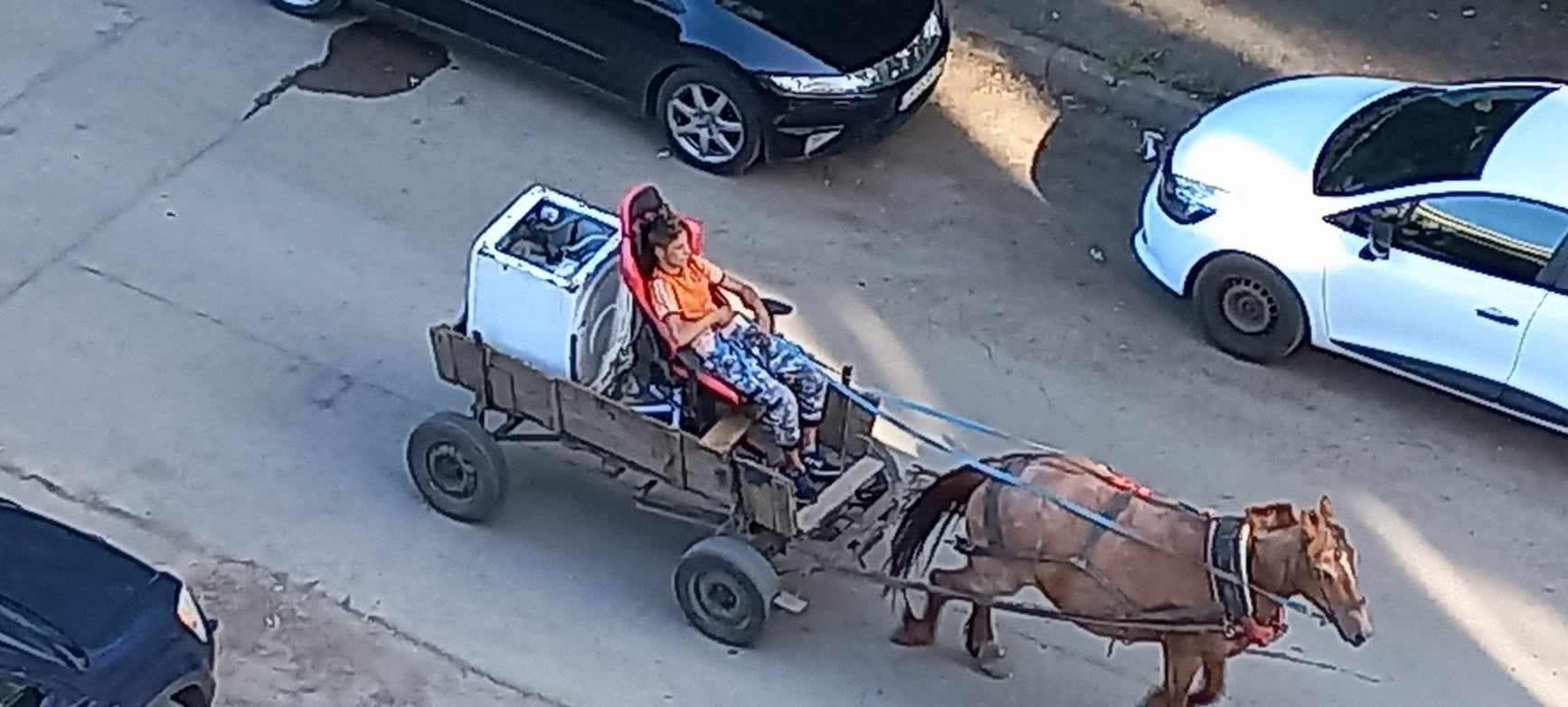 Млад каруцар събра очите на софиянци: Хем е смешно, хем... СНИМКИ