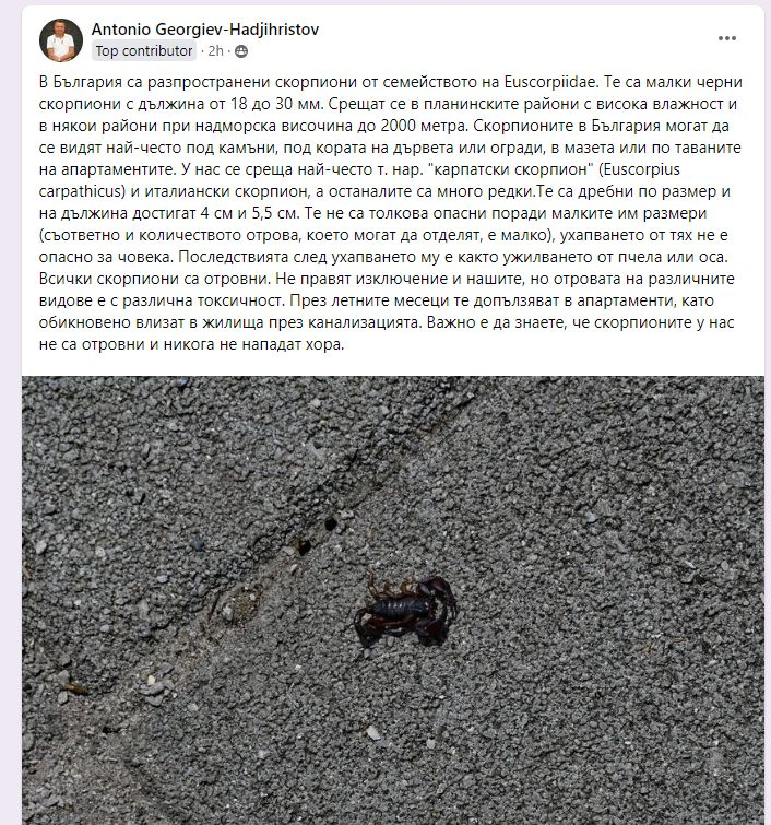 Малцина знаят, че тези отровни животни живеят у нас, но софиянец улови едно на СНИМКА