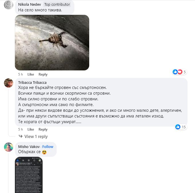 Малцина знаят, че тези отровни животни живеят у нас, но софиянец улови едно на СНИМКА