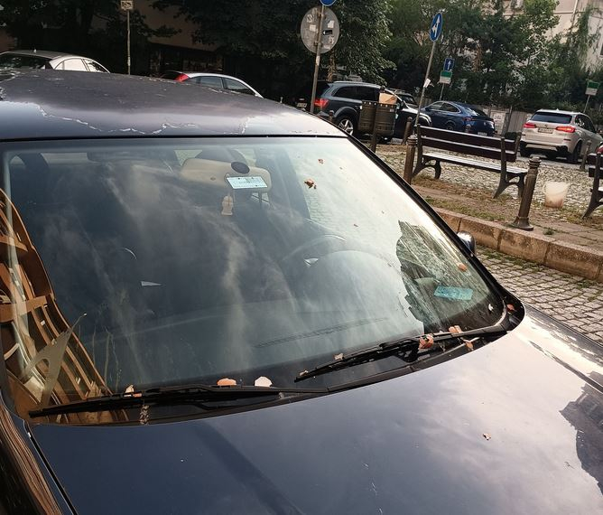 Тотално падение: Така ли трябваше да постъпят с инвалид 