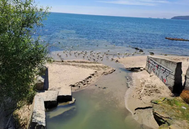 Нещо гнусно се излива в Черно море, варненци беснеят СНИМКИ