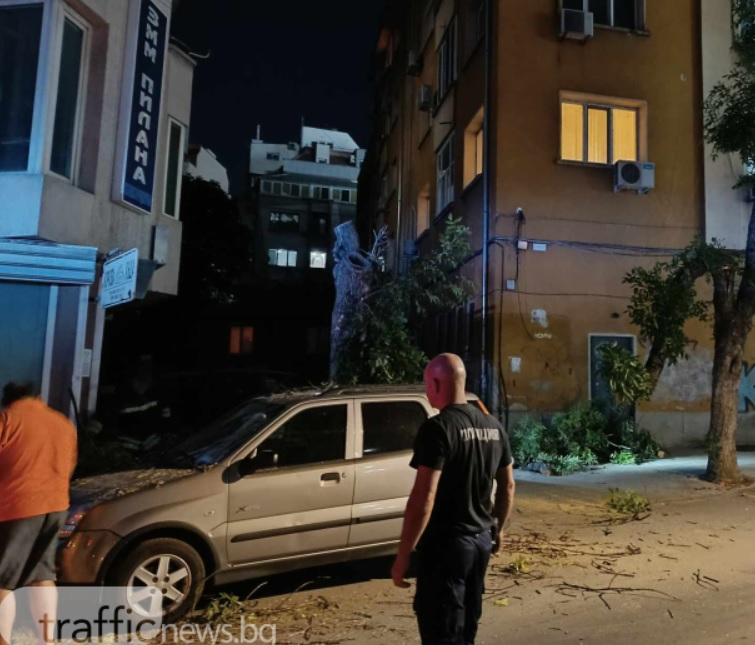 Отчупило се дърво предизвика инцидент по тъмно в Пловдив СНИМКИ
