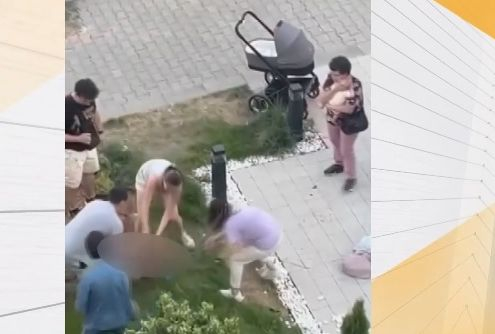 Зловещи разкрития за питбула-убиец от София 