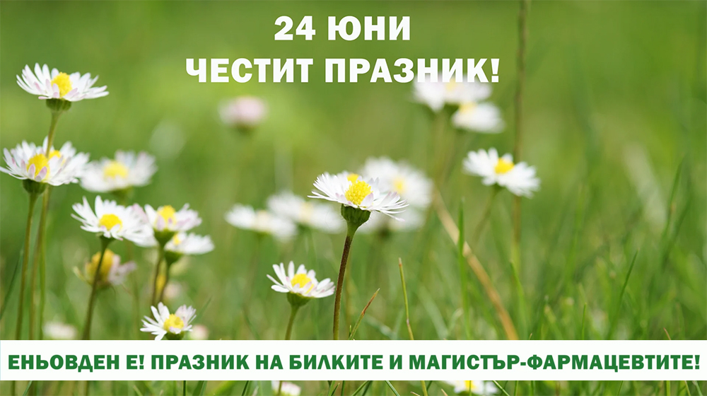 Еньовден е! Магистър-фармацевтите си пожелават да бъдат ценени и всеки да мисли за фармацията, когато мисли за здравето си 