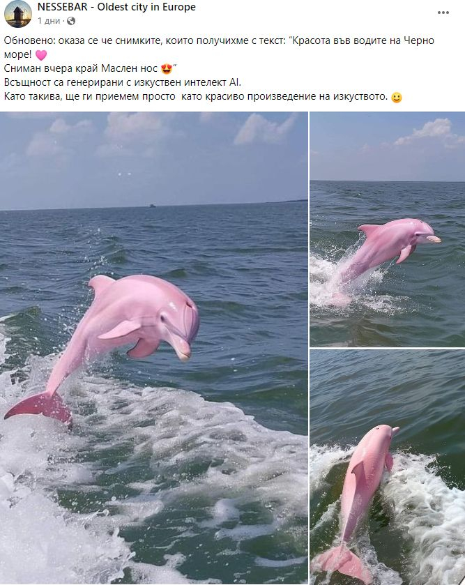 Розов делфин в Черно море подпали мрежата, истината за СНИМКИТЕ е шокираща