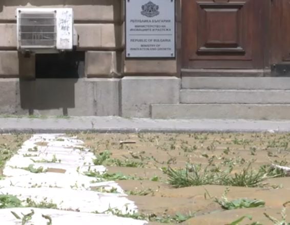 Какво доживяхме! Жълтите павета станаха "зелени" СНИМКИ