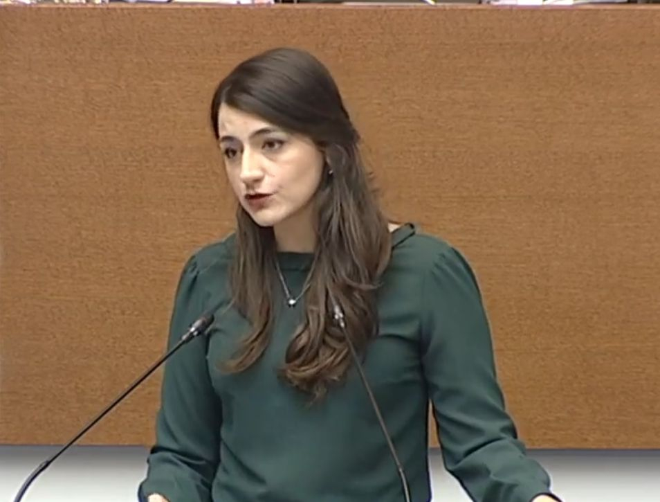 Пълен цирк с Лена Бориславова и Бойко Рашков в парламента