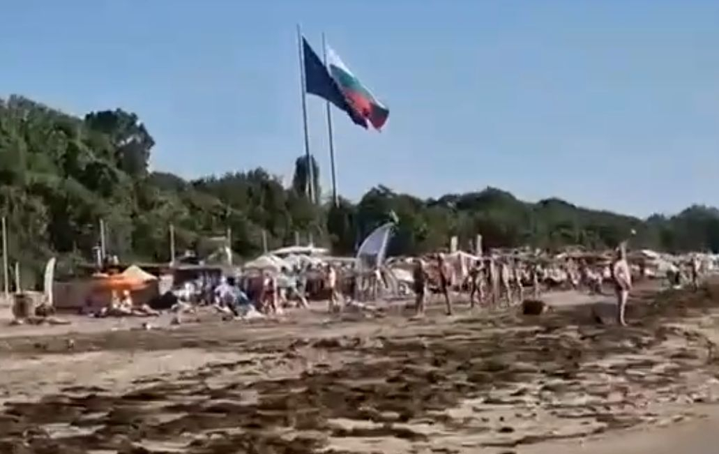 Нетипично явление: Ето какво шокира първите летовници на Северния плажа в Бургас СНИМКИ