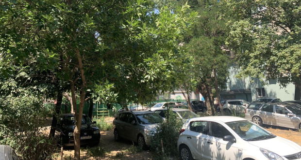 Центърът на Пловдив заринат от ла*на, такава гнусотия не сте виждали