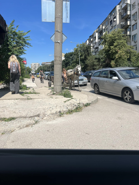 Не ни трябват електромобили, най-екологичният транспорт шпори из София 