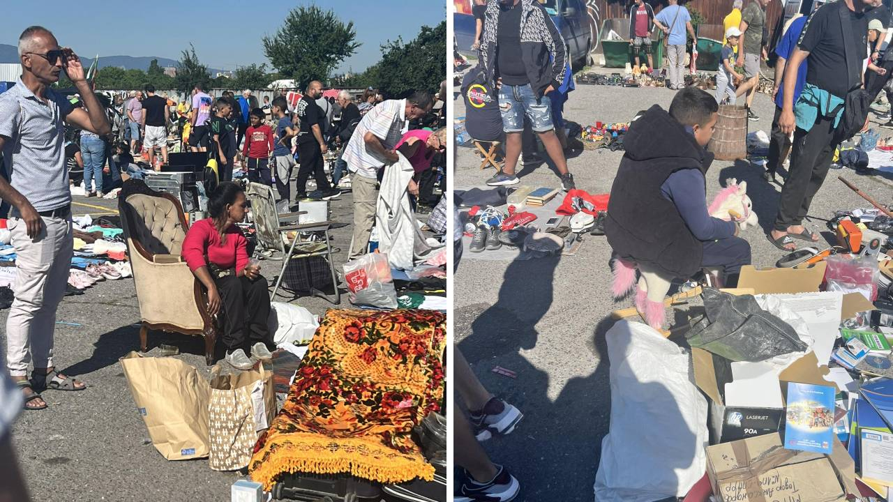 В хипермаркета за вехоташи в София има от вибратор до кукли с откъснати крайници СНИМКИ