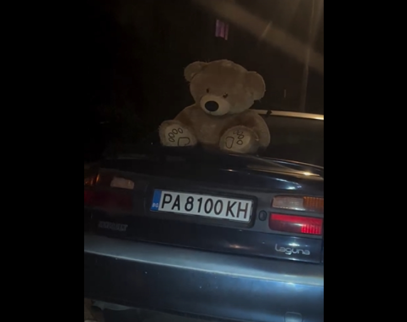 Меченце вместо да плаши, разтопи сърцата на всички